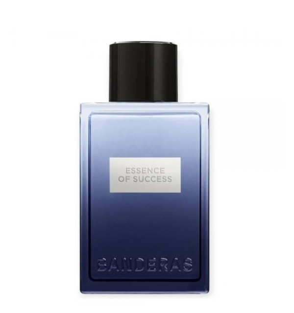 Antonio Banderas Essence of Success 100 ml-TX4j0.jpeg