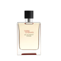 Hermès Terre d'Hermes Intense 100 ml
