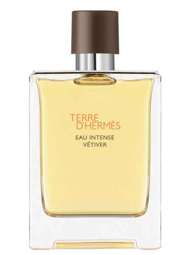 Hermes Terre d'Hermes Eau Intense Vetiver 100 ml