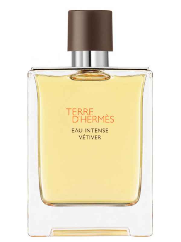 Hermes Terre d'Hermes Eau Intense Vetiver 100 ml-00c6599aa637fd34e19b4d7aae3545c3f62d14c3.jpg