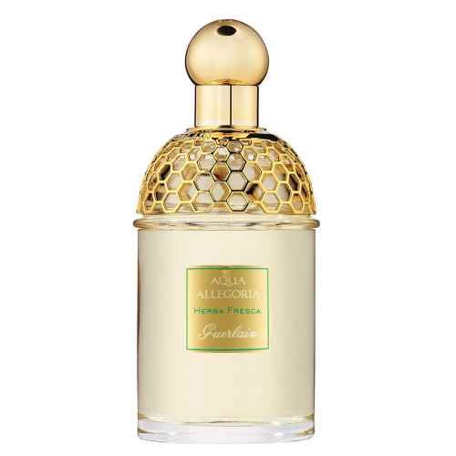 Guerlain Aqua Allegoria Herba Fresca 125 ml