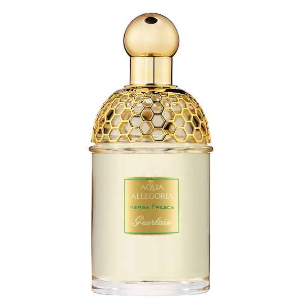 Guerlain Aqua Allegoria Herba Fresca 125 ml-04726131ad1b7cb65cda811b3bee55936a53b327.jpg