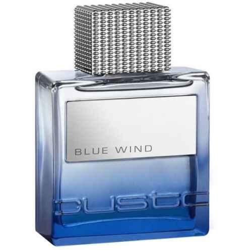 Custo Barcelona Blue Wind 100 ml 