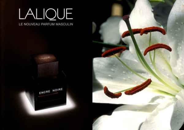 Lalique ENCRE NOIRE 50 ml-6cc1258b3f314721476608d1f3455ff41753344d.jpg