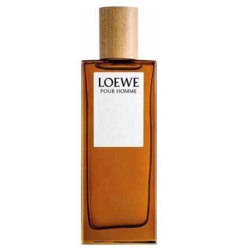 Loewe Pour Homme 100 ml