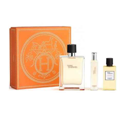 Hermes TERRE - EdT 100 ml + 50 ml + 40 ml