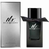 Burberry Mr. Burberry 100 ml 