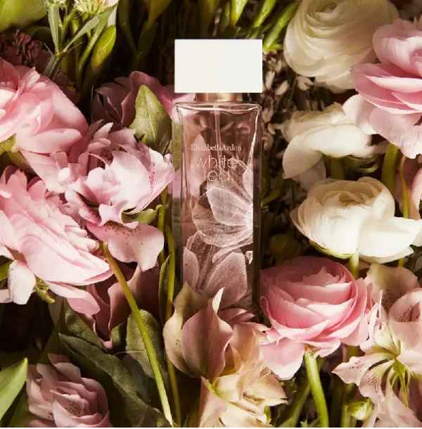 Elizabeth Arden White Tea Eau Florale 100 ml-hwGFk.jpeg