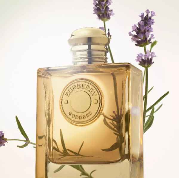 Burberry Goddess 30 ml-pfPfP.jpeg